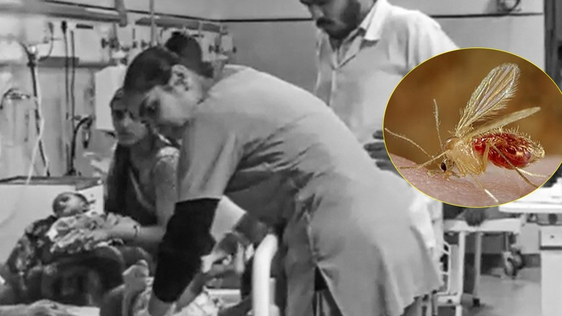 गुजरात में चांदीपुरा वायरस से 25 बच्चों की मौत, सरकार को नहीं पता कैसे फैल रहा वायरस?