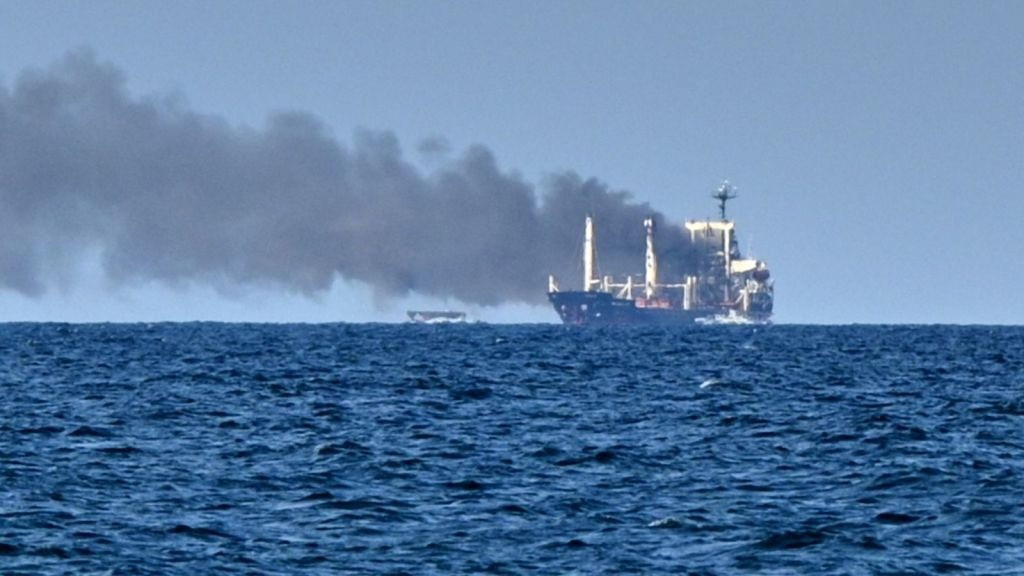 Attack on ship in Hormuz injures 11 Indian crew members